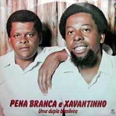 Pena branca e Xavantinho - Flor do cafezal