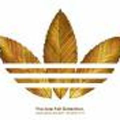 "ILLIN CO- WILLIN" PHAT TRAXXX/E300