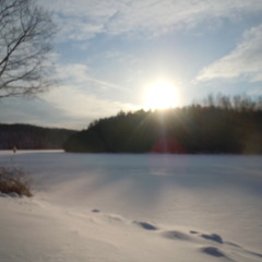 Collective Consciousness