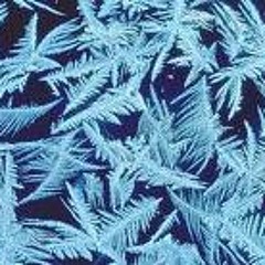 Paha Polly - Külm detsember