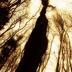 Thoughts From Bb Minor