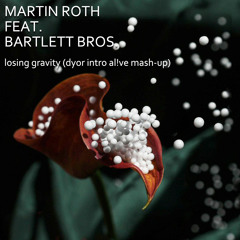 Martin Roth & Bartlett Bros - Losing Gravity (Dyor Intro Al!ve Mashup)