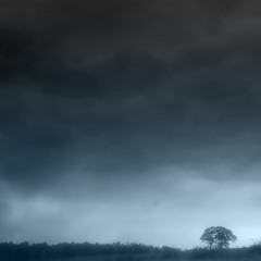 pathos