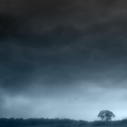 pathos
