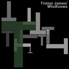 WhoKnows (original mix)