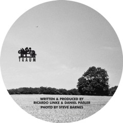 Microtrauma - Diffusion (Original Mix) // Traum Schallplatten