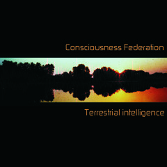 Consciousness Federation - Origins