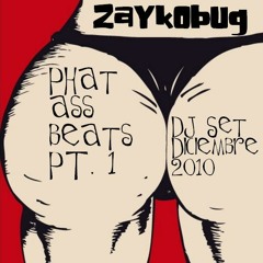 ZaYkObUg DJSet - Diciembre 2010 Phat Ass Beats Pt.1