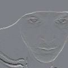 Finaset