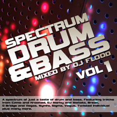 DJ Flood "Spectrum" Drum and Bass Mix