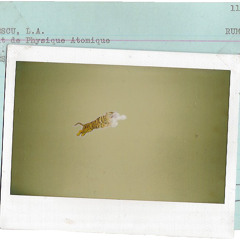 Fake Moon Flight (Original Mix)