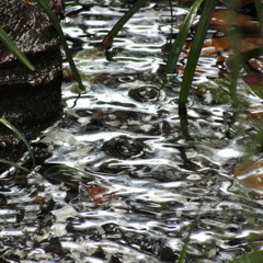 When You Come Back To Me Again