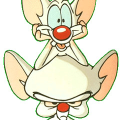 Pinky and the Brain