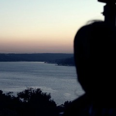 beetul