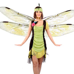 Charleston Dragonfly - Link in Description