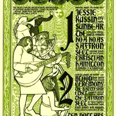 Electronics Compassionate House/ We Didn't Think to That 2008