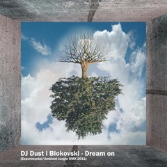 Dj Dust i Blokovski - Dream on (Experimental / Ambient Jungle RMX 2011)