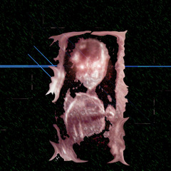 revolution for a solution ( live machine )