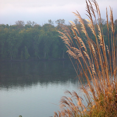 Tara's Morning - Quirky, waltz, hopeful, opening, scattered