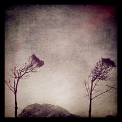 All the sleepless nights Vol 1