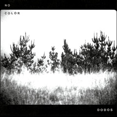 The Dodos - Black Night