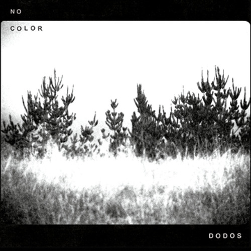 The Dodos - Black Night