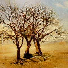 Desert Theme(for guitar)