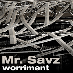 Mr. Savz - Worriment