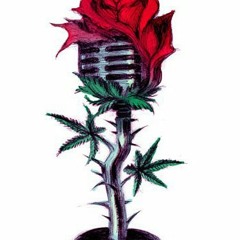 Buenos Muchachos - He Never Wants To See You Once Again