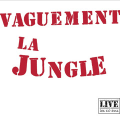 Vaguement la Jungle - Doner (Live Version)