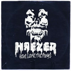 Here Come The Punks (The Integrals Remix) - Haezer