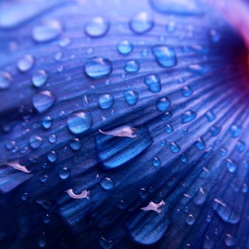 Hosta - Feelin Blue [Teaser] [Dub]