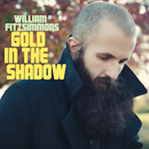 William Fitzsimmons - Beautiful Girl
