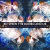 Between the Buried and Me "Specular Reflection" (Sample)