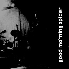 good morning spider - My Girlfriend