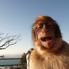 Don't Laug (Deejay Mimid Ft Smili Promo 2011 Remix )