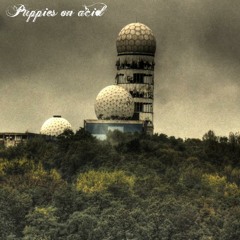 Puppies on acid -  Leaving Feelings