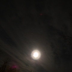 midnight walk
