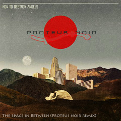 How to Destroy Angels_The Space in Between (Proteus noir remix)