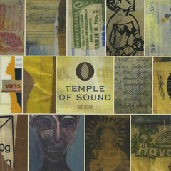 Temple of Sound Chica Bonita