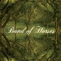 Band&#x20;of&#x20;Horses The&#x20;Funeral&#x20;&#x28;Butch&#x20;Clancy&#x20;Remix&#x29; Artwork