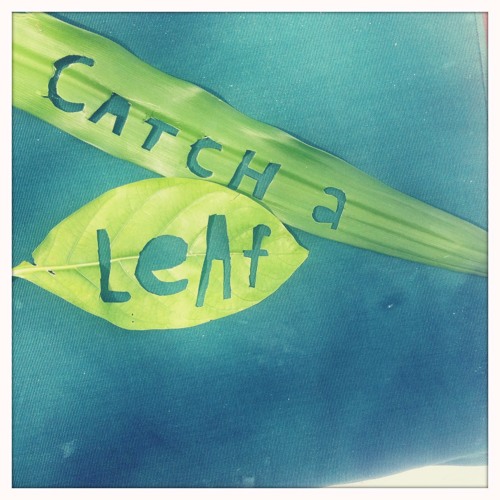 Recloose - Catch a leaf (Eva Be Remix)