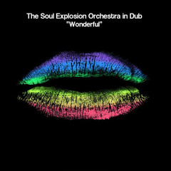 Soul Explosion in Dub - Wonderful