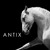 Artwork for Antix
