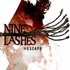 Nine lashes