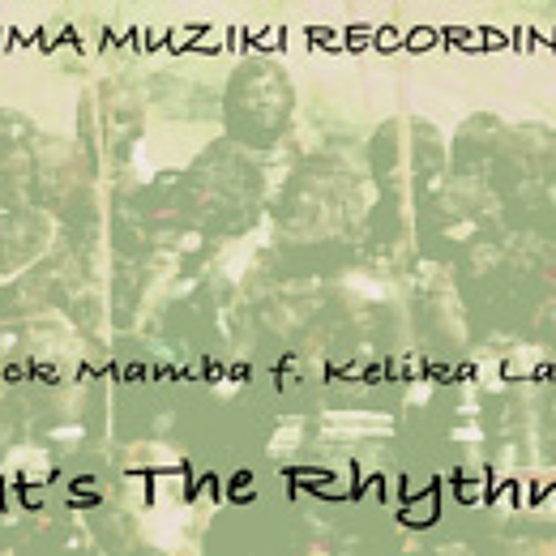 It's The Rhythm - Black Mamba Mix