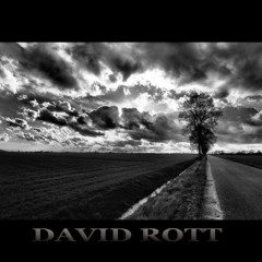 DAVID ROTT "Seduction"