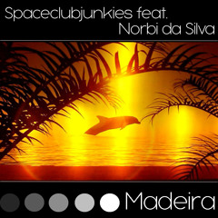 Spaceclubjunkies ft. Norbi da Silva - Madeira (Dj Electronic Boy Rmx)
