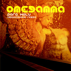 Para Halu - Omegamma (Spacequake remix) SAMPLE