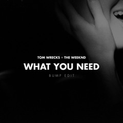 The Weeknd - What You Need (Tom Wrecks 'Bump' Edit) (2010)